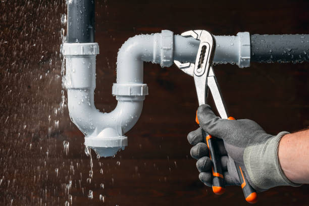 Professional Plumbing technician working in Lisbon, IA